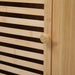 Detailansicht der Tür mit Holzknopf